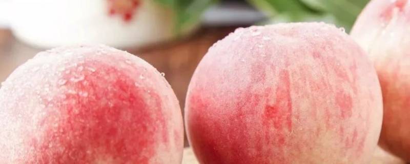 桃子催熟方法和变软 快速让桃子变熟的办法