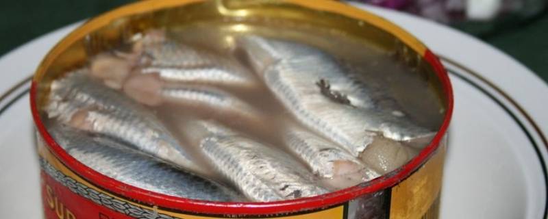 鲱鱼罐头是什么味道 鲱鱼罐头到底什么味道