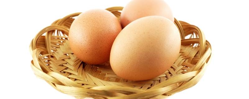 黄天鹅鸡蛋与鸡蛋有什么区别 黄天鹅鸡蛋和普通鸡蛋