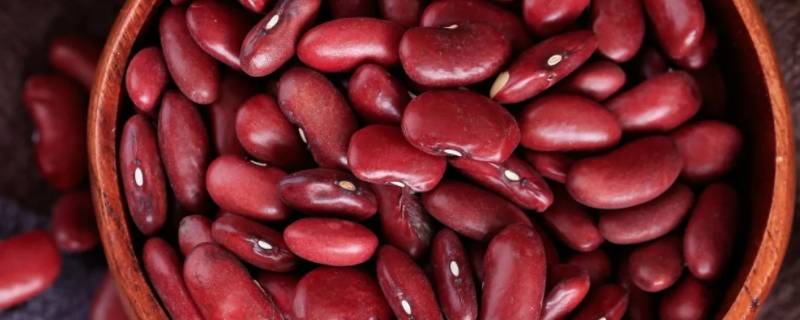 红腰豆和红芸豆怎么区分（红腰花豆和红芸豆）