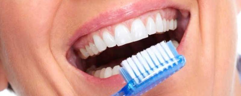 牙齿的用处和怎么保护 用什么保护牙齿