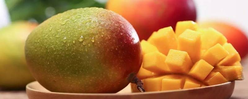 芒果可以放在冰箱里吗 芒果可以放入冰箱里吗
