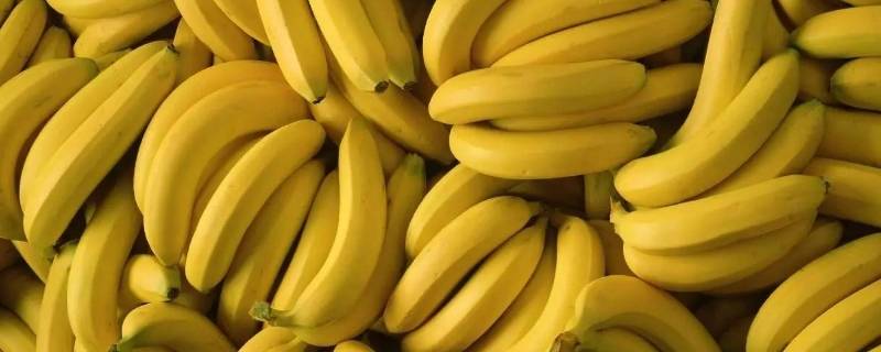 香蕉买回来是绿的怎么办（绿香蕉买回来放着会变黄吗）