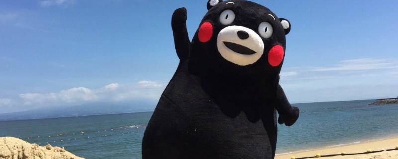 日本熊玩偶叫什么（日本的黑熊玩偶叫啥）