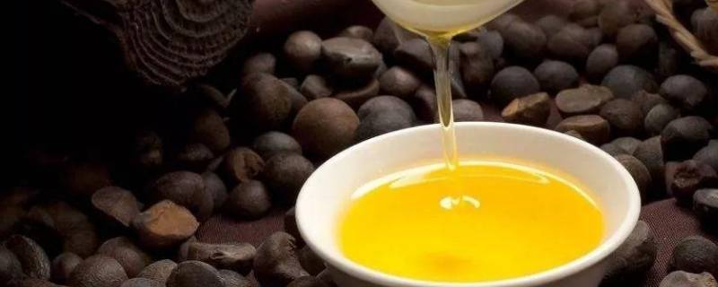 茶籽油怎么食用 茶籽油怎么食用最好