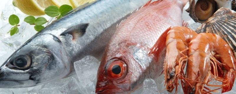 新鲜鱼放冰箱冷藏可以放多久 新鲜鱼在冰箱冷藏能放多久