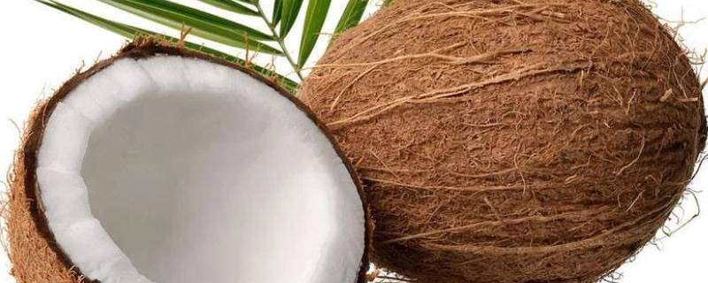 老椰子水为什么是酸的（老椰子水发酸）