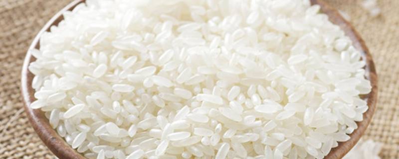 软米是什么米（泰香软米是什么米）