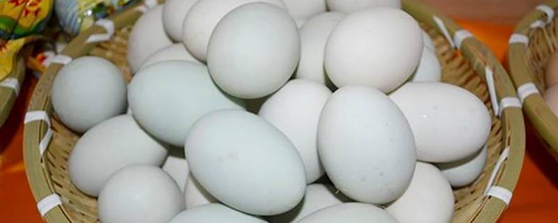 鸭蛋能放多久 熟咸鸭蛋能放多久