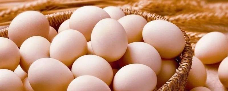 鸡蛋室温下可以放多久 鸡蛋可以在室温放多久