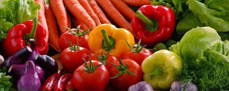 含钙量高的蔬菜有哪些（含钙量最高的蔬菜是什么）