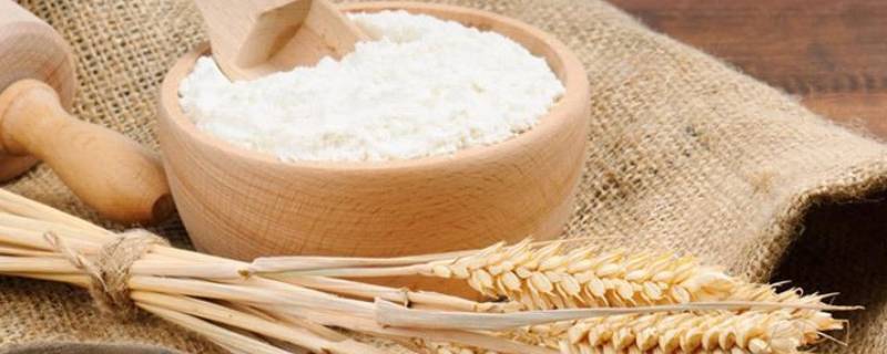 家用小麦粉是低筋还是高筋 家庭通用小麦粉是低筋还是高筋
