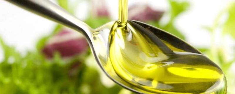 榄橄榄油怎么吃 橄榄食用油怎么吃