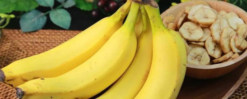 香蕉变软呈现半透明是为什么（香蕉有部分是透明的是坏的吗）