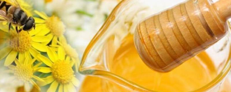 原蜜和一般蜂蜜的区别 原蜜跟蜂蜜的区别