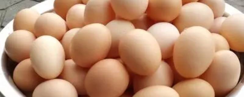 夏天4种方法保存鸡蛋 夏天鸡蛋如何保存方法
