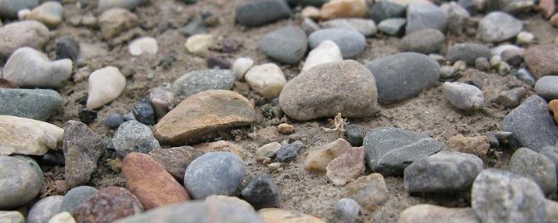 海边透明的石头是玉吗（海边的石头有玉吗）
