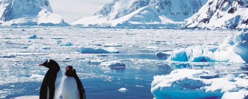 南极可能会遇到的危险有哪些,怎么解决 南极可能会遇到的危险有哪些