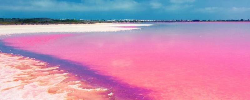 人工粉色沙滩是怎么形成的 粉色沙滩是怎么形成的