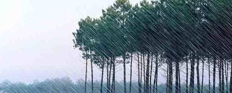 下雨前自然界有哪些现象 要下雨前的自然现象有哪些