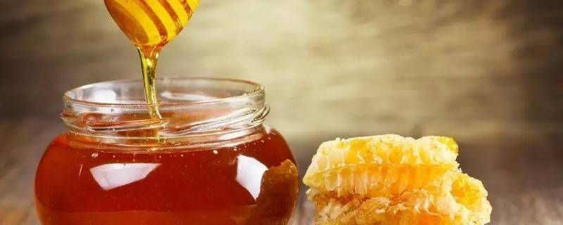 蜂蜜是怎么制作成的 蜂蜜怎么制作出来的