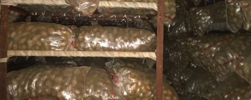 土豆保鲜库储存方法 土豆储藏保鲜技术