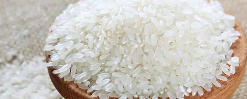 洗好的米不煮怎么保存 洗好的米不煮了怎么办