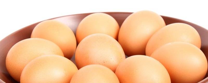 鸡蛋为何叫木须 木须是鸡蛋的意思吗