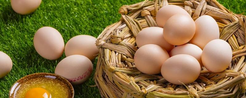 玉米鸡蛋是什么鸡蛋 玉米鸡蛋是什么蛋