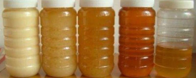 蜂蜜应该怎样保存 蜂蜜应该怎样保存好