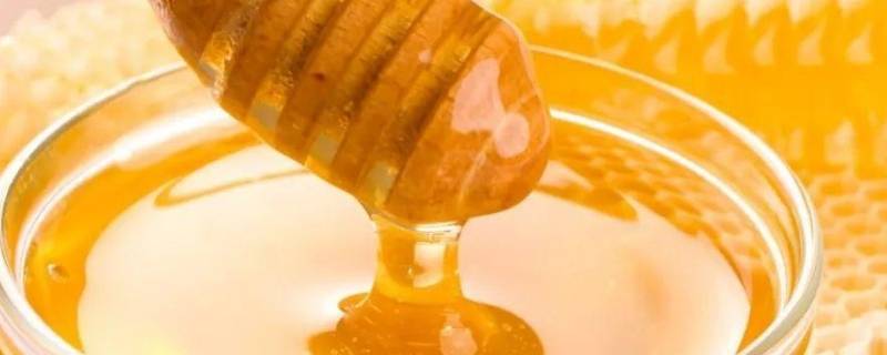 土蜂蜜为什么有股怪味（土蜂蜜有股味道）