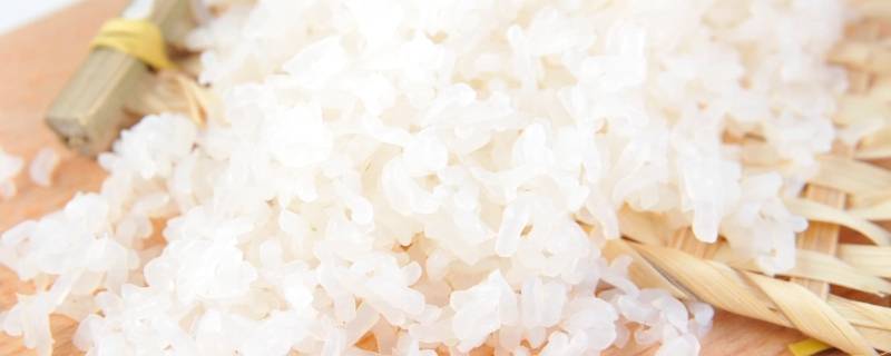 魔芋米可以长期代替米饭吗 魔芋能代替米饭吗