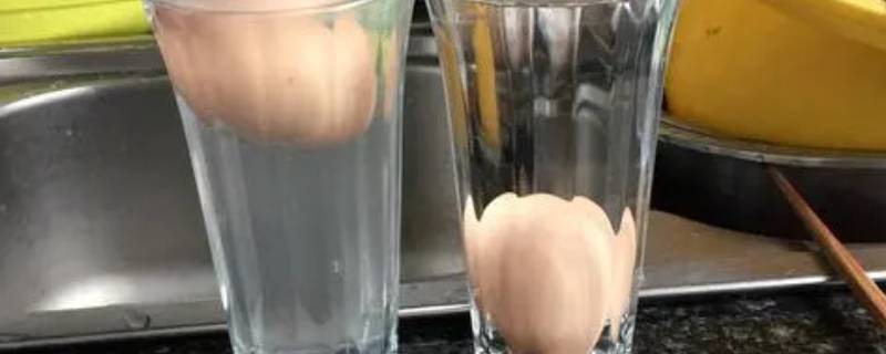 生鸡蛋怎么在水里浮起来的原理 生鸡蛋怎么在水里浮起来