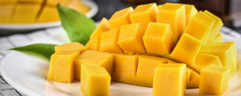芒果可以和什么水果一起榨果汁 芒果可以和什么水果一起榨果汁好喝
