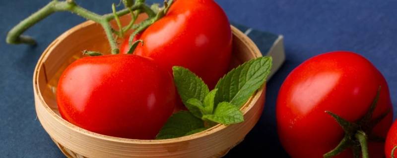 番茄营养 番茄营养成分表100克