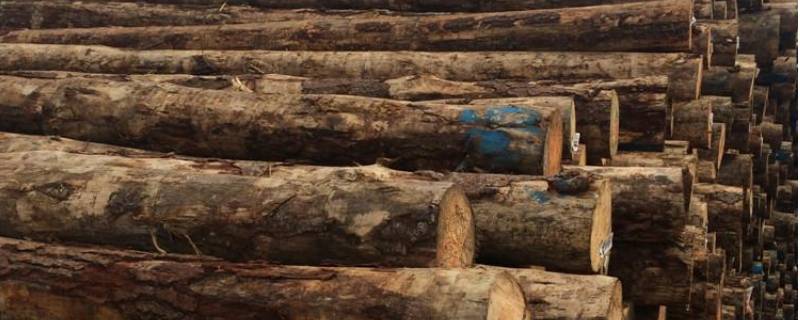 木头防腐处理的方法（木材防腐处理4种方法）