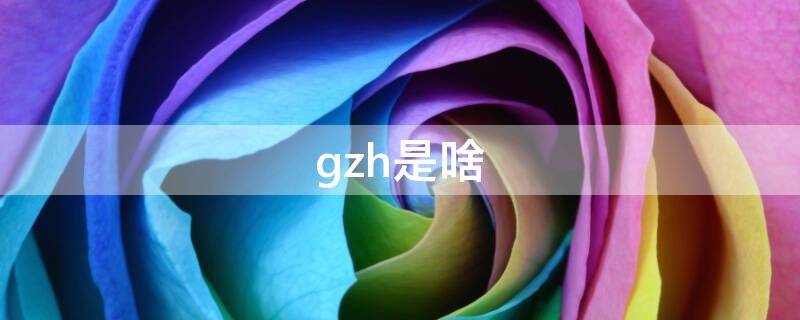 gzh是啥 gzh是什么名字