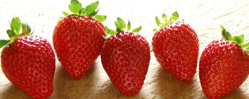 草莓营养 草莓营养成分