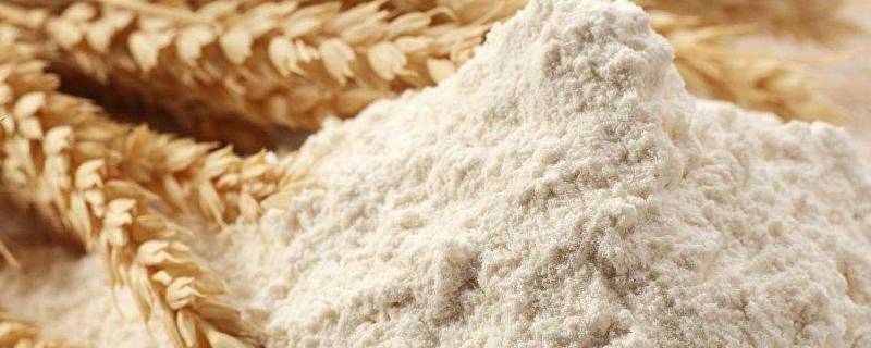 特精面粉适合做什么用 特精面粉适合做面包吗