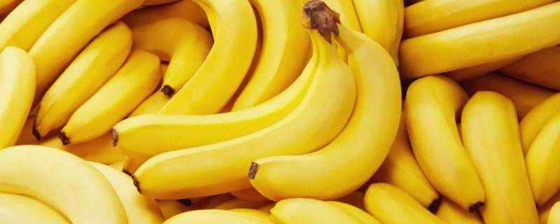 进口香蕉和国产香蕉区别 进口香蕉和国产香蕉区别图片香蕉商标写着fm什么意思