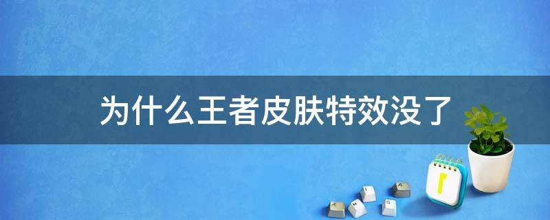 为什么王者皮肤特效没了 王者荣耀为什么没有特效