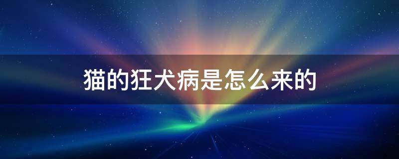 猫的狂犬病是怎么来的 猫是怎么有狂犬病的