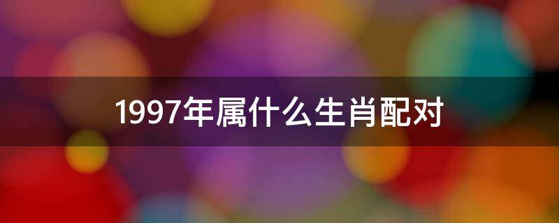 1997年属什么生肖配对女配1993年猪 1997年属什么生肖配对