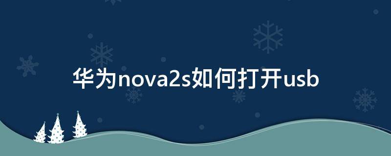 华为nova2s如何打开usb 华为nova2s如何打开开发者选项