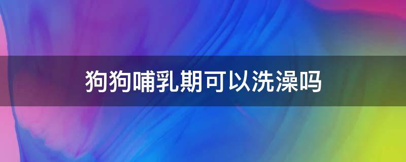 哺乳期狗能洗澡吗 狗狗哺乳期可以洗澡吗