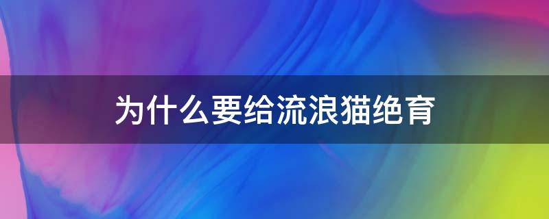 流浪猫可以直接做绝育吗 为什么要给流浪猫绝育