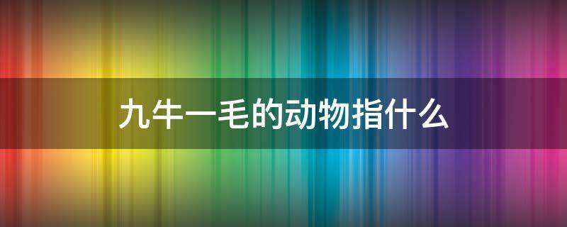 九牛一毛的动物指什么生肖 九牛一毛的动物指什么