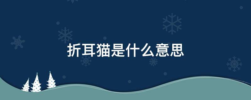 折耳猫是什么意思 折耳猫为什么叫折耳猫