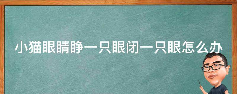 小猫眼睛睁一只眼闭一只眼怎么办 小猫眼睛一只睁开一只睁不开