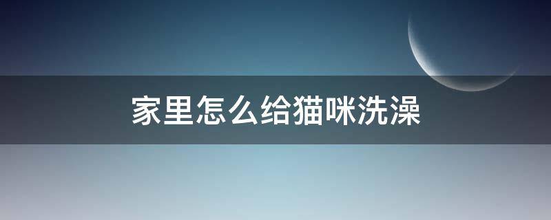 怎样给家猫洗澡 家里怎么给猫咪洗澡